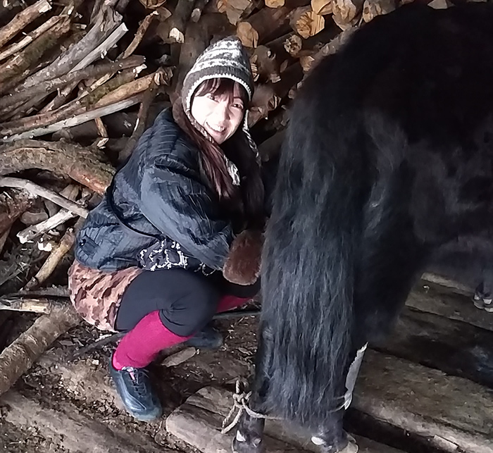 「ヒマラヤチーズ」の誕生