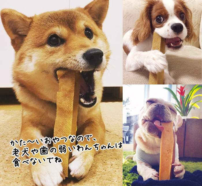 「ヒマラヤチーズ」の誕生